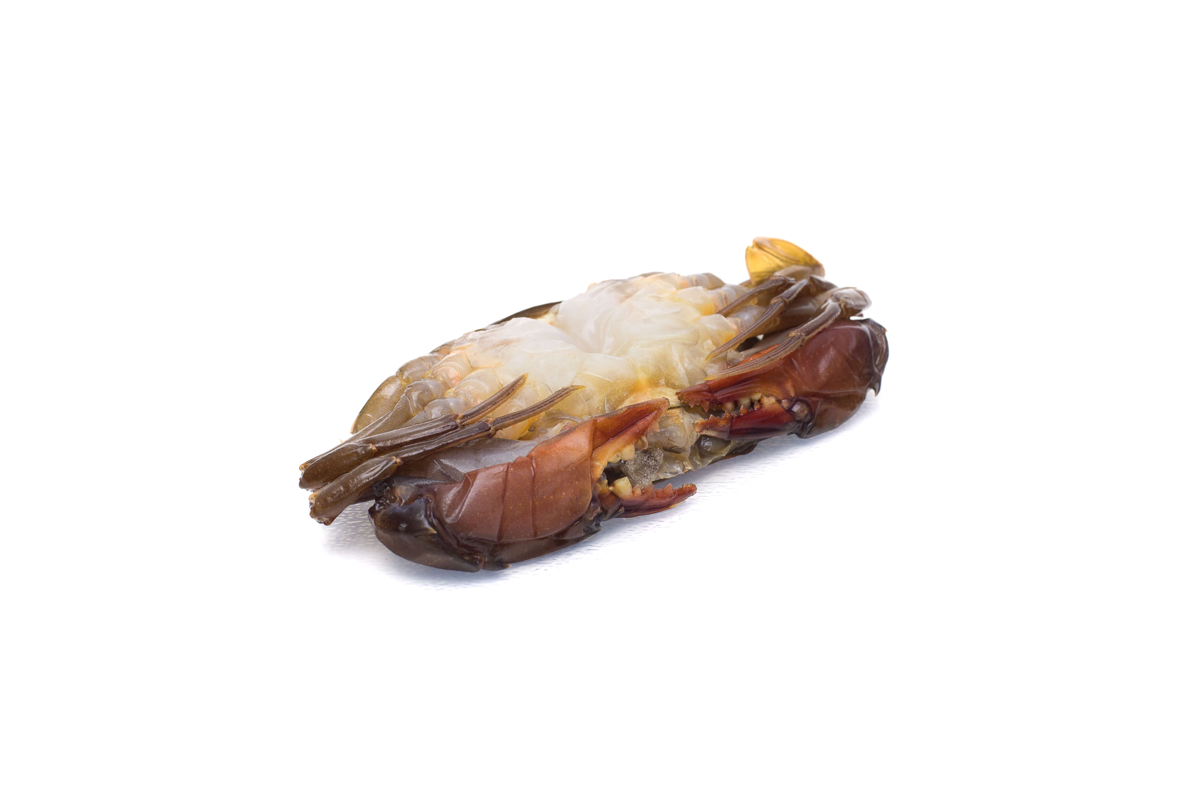 Bevroren soft shell crab